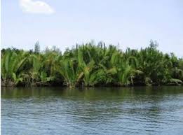 Disputed forest reserve: A’Ibom oil community accuses CSO of fueling tension