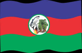 Ijaw rulers declare INC election invalid